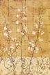 Reprodukce - Asian Art - Blossoms in Gold II