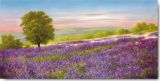 Reprodukce - Krajiny - Lavender Field