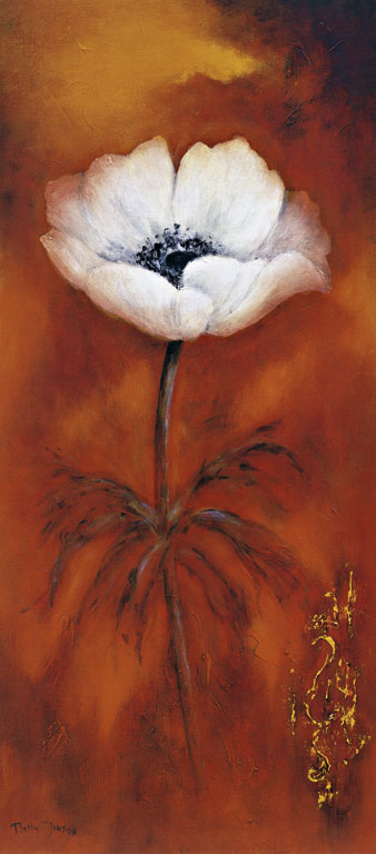 Reprodukce - Květiny - Anemone II, Betty Jansma