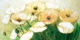 Reprodukce - Květiny - Brilliant Blossoms
