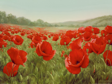 Reprodukce - Květiny - Field of Poppies, Igor Levashov