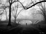 Reprodukce - Město - Gothic Bridge, Central Park NYC