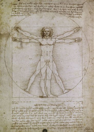 Reprodukce - Renesance - Proporzioni dell´uomo secondo, Leonardo da Vinci