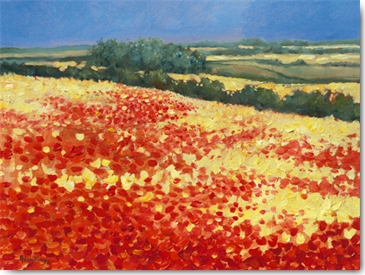 Reprodukce - Tisk na plátno - Harvest Poppies, Hilary Mayes